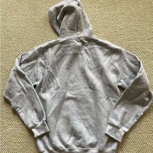 NEW Gildan Texas Physics UT Longhorns Hoodie Sweatshirt Unisex Small Gray NWOT